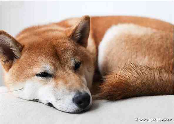 Shiba Inu Displays Surprising Price Movement – Can SHIB Ditch The Flatline?