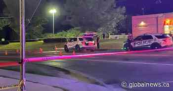 Kingston, Ont. police deem death of man found on roadside not suspicious - Global News