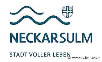 Neues Logo, neue Webseite: Wie die Stadt Neckarsulm Wellen schlägt - Heilbronner Stimme