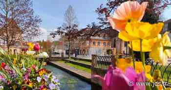 Concours photo : Niederbronn-les-Bains au fil de l'eau 2022 - Mairie de Niederbronn-les-Bains : date, horaires, programme, tarifs - Journal des spectacles