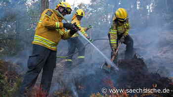 Waldbrand im Nationalpark Sächsische Schweiz: Heißes Wetter und wenig Regen ist große Belastung für die Feuerwehr - Sächsische.de