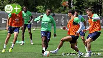 Aussprache nach Jena-Kritik: VfL-Sportdirektor Schäfer und Baku glätten die Wogen - Wolfsburger Allgemeine