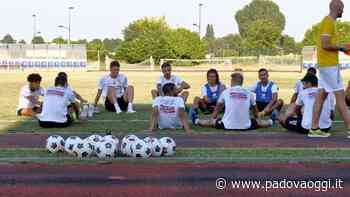 Serie D, Este: il calendario delle amichevoli dei giallorossi ad agosto - PadovaOggi