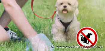 Kein Platz für Hundekot! - Cochem / Zell - WochenSpiegel