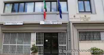 Emodinamica, il Tar rigetta il ricorso del Comune di Termoli e delle associazioni - quotidianomolise.com - Il Quotidiano del Molse