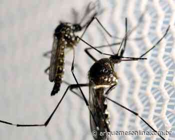 Alerta: Dengue já matou 12 rondonienses somente em 2022 - Ariquemes Online