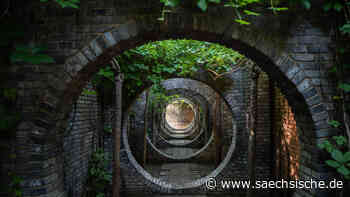 Wo sich Bau und Kunst verbinden - Sächsische.de