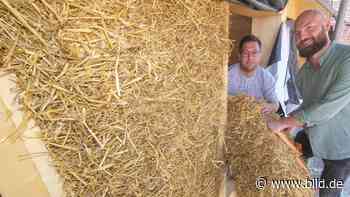 Öko-Bau-Boom in der Region: Wir bauen Häuser aus Stroh - BILD