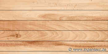 Fichtensterben wird zum Bau-Problem: Forscher suchen Lösung - ingenieur.de - ingenieur.de