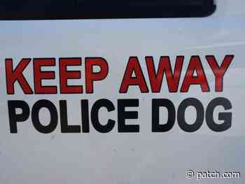 Warrington K-9 Aids In Retail Theft Bust: Police - Patch