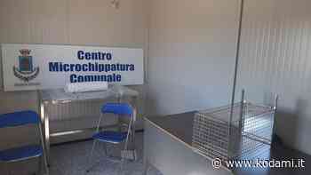 Il Comune di Agrigento inaugura il suo nuovo ambulatorio veterinario pubblico - Kodami