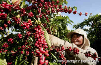 Brazil CBDC trials: farm lending explored by Digital Asset, Oliver Wyman, VERT - Ledger Insights