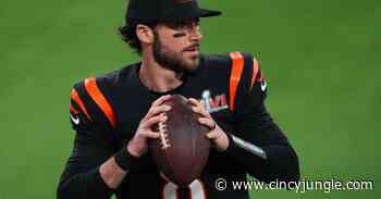 Cincinnati Bengals’ QB Brandon Allen must be ready to step up if needed - Cincy Jungle