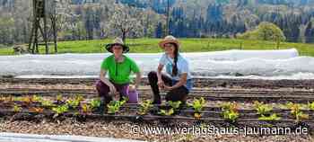 Steinen: Gärtnerinnen setzen auf Vielfalt - Steinen - www.verlagshaus-jaumann.de