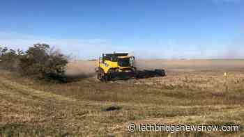 Farmers concerned about federal fertilizer target - Lethbridge News Now