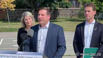 Ottawa to temporarily ban handgun imports until permanent freeze comes into effect - CBC News