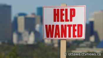 Ottawa's unemployment rate continues to fall | CTV News - CTV News Ottawa