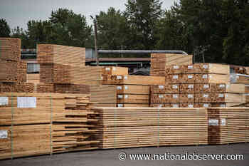 Ottawa will challenge lower but still 'baseless' U.S. duties on softwood lumber, says Ng - Canada's National Observer