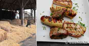 TERRASTIP. Hof ter Daele in Veurne: Hier kunnen ouders op hun gemak genieten terwijl de kinderen ravotten in het hooi - Het Laatste Nieuws