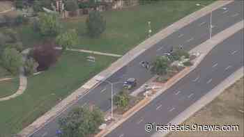 Man, 2 dogs killed in hit-and-run crash in Aurora