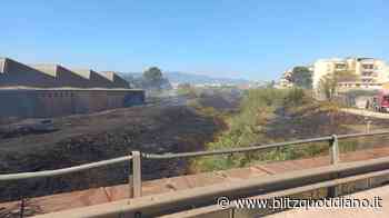 Sestu (Cagliari), incendio divampa vicino la strada provinciale 8: evacuate alcune abitazioni - Blitz quotidiano