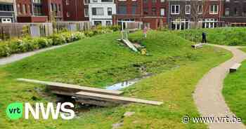 Sanne uit Ekeren houdt haar tuin groen met een "wadi": een wondermiddel in de strijd tegen droogte? - VRT NWS