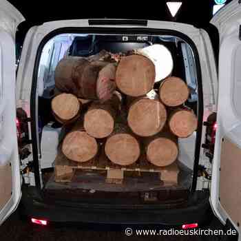 Holz-Dieb in Hellenthal geschnappt - radioeuskirchen.de