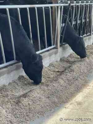 Partnership to raise local Angus beef good for economy, farmers and consumers - Central Penn Business Journal