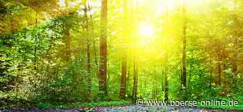 Nachhaltigkeit: Welche Banken für ein grünes Gewissen sorgen