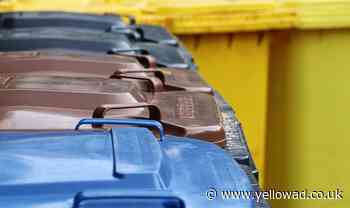 Havering waste collection changes to beat the heat - Yellow Advertiser