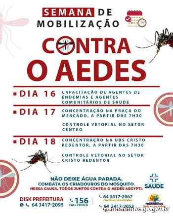 Prefeitura divulga Semana de Mobilização contra o Aedes - morrinhos.go.gov.br
