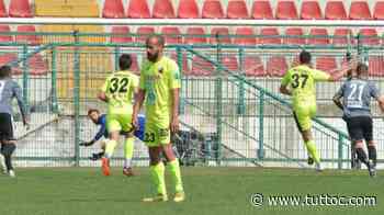 Pontedera, Petrovic: "Qui per farmi notare e tornare in Serie B" - Tutto Lega Pro