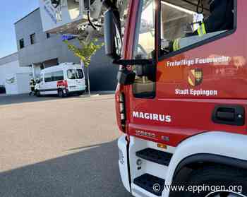 ▷ Eppingen: Brandmeldeanlage Lebensmittelmarkt - Eppingen.org