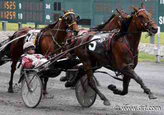 Meadowlands: With Bulldog Hanover away the rest hope to play in McKee - Daily Racing Form