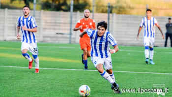 Pescara, il momento delle cessioni: un altro biancazzurro al Frosinone - IlPescara