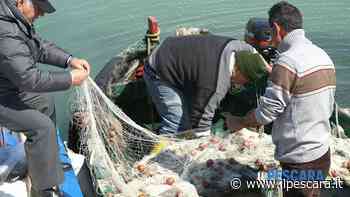 A Pescara la mostra fotografica internazionale “Genti di mare” - IlPescara