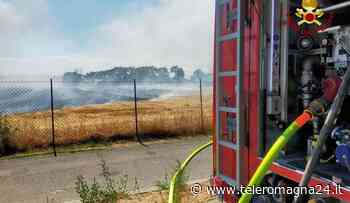 FORLI': Incendi in serie, a fuoco 11 ettari di vegetazione in via Consolare - Teleromagna24