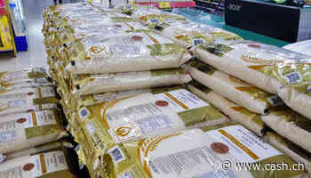 Umwelt - Wetterkapriolen könnten Reis-Preise in die Höhe treiben