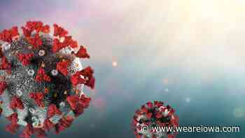 BA.4.6: How a new coronavirus subvariant affects Iowa - Local 5 - weareiowa.com