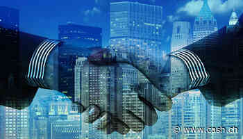 Zusammenschluss - Telekom-Fusion in Spanien Testfall für europäische Konsolidierung