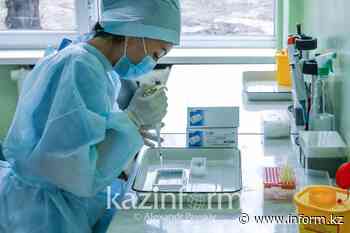 2,197 new coronavirus cases confirmed in Kazakhstan in 24h - inform.kz/en