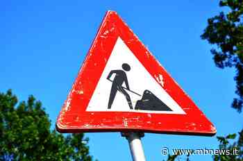 Monza, via Buonarroti: un restyling di sei mesi per il viale alberato - MBNews