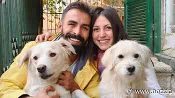 Hunde aus Syrien nachholen: Flüchtling Simon Safieh sucht in Haren ein Zuhause für Sunny und Bueno - NOZ