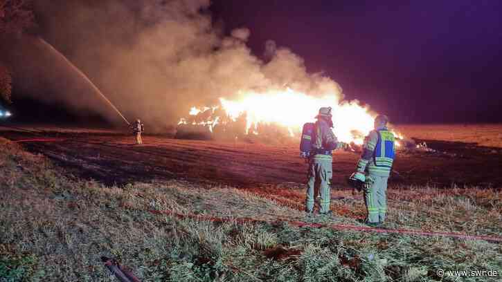 Brände in Sinsheim und Hockenheim halten Feuerwehr in Atem - SWR Aktuell
