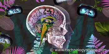 VR is as good as psychedelics at helping people reach transcendence - MIT Technology Review