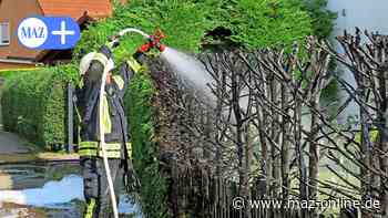 Rathenow: Hecke im Kranichring brennt nieder - Märkische Allgemeine Zeitung