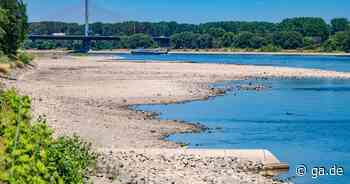 Niedrigpegel im Rhein: Was das Niedrigwasser für Mensch und Natur bedeutet - General-Anzeiger Bonn
