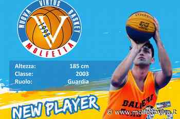 Altro rinforzo per la Virtus Basket Molfetta: arriva il giovane Marco Annese - MolfettaViva
