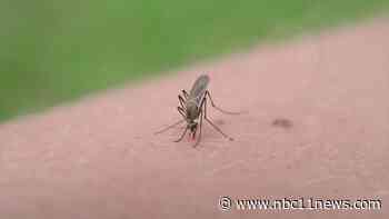 West Nile Virus cases rising in Delta County - KKCO