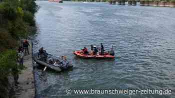 Geschwächter Belugawal in der Seine